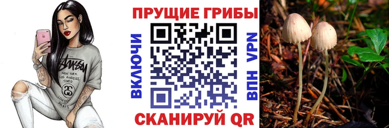 Псилоцибиновые грибы Psilocybine cubensis  цена наркотик  Переславль-Залесский 