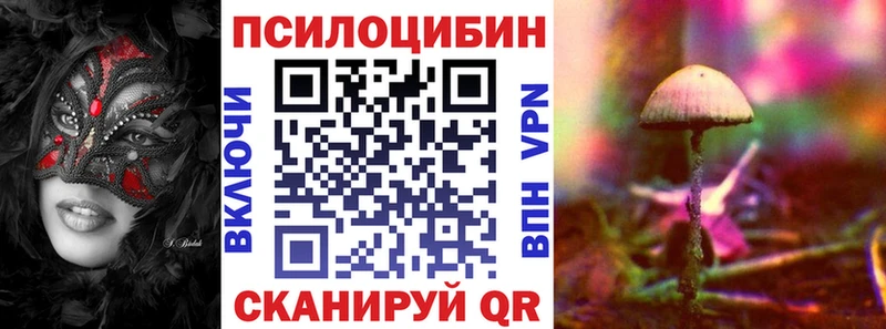 Галлюциногенные грибы мицелий Переславль-Залесский